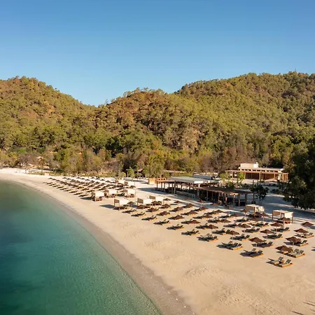 Ahama 5* Yanıklar